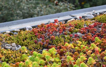 the cost of Corbet Milltown green roof installation