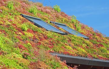 Corbet Milltown living roof systems